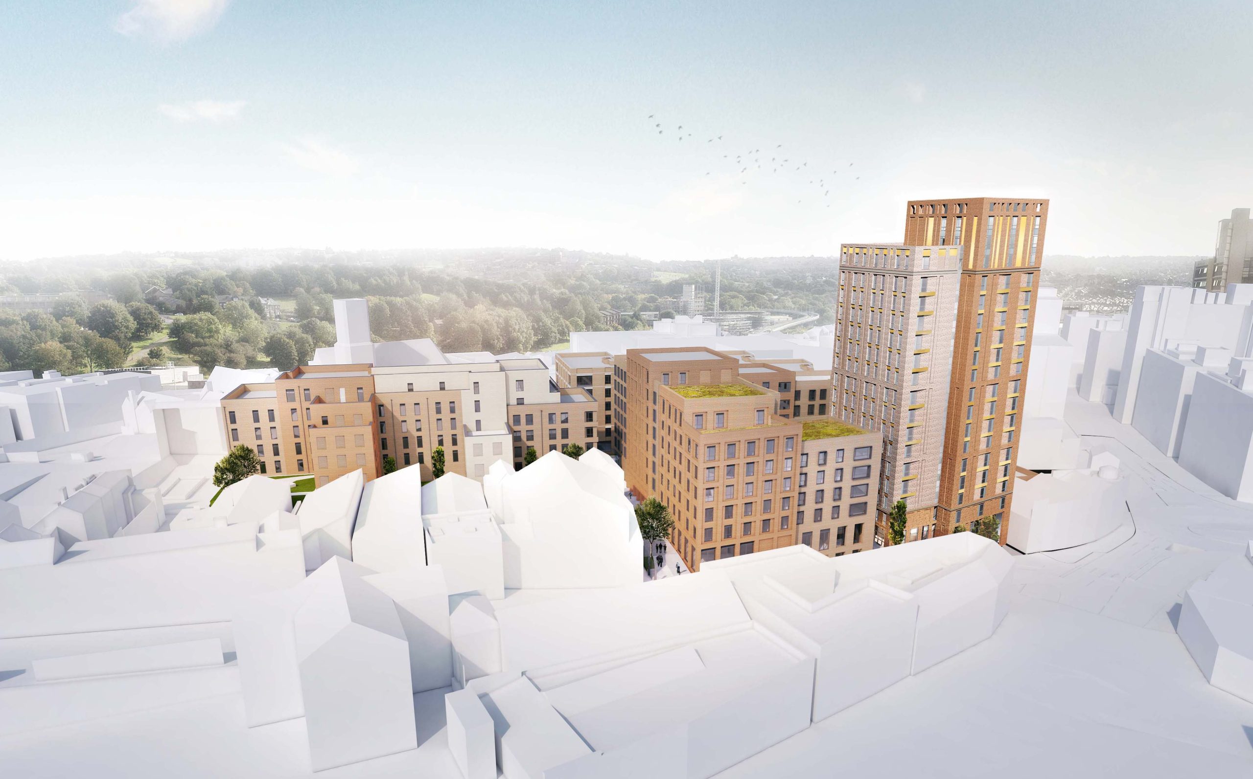 DLP Rebranding & New Directors